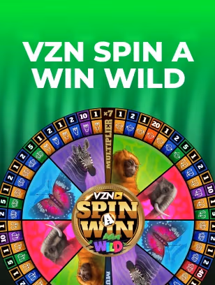 VZN Spin A Win Wild